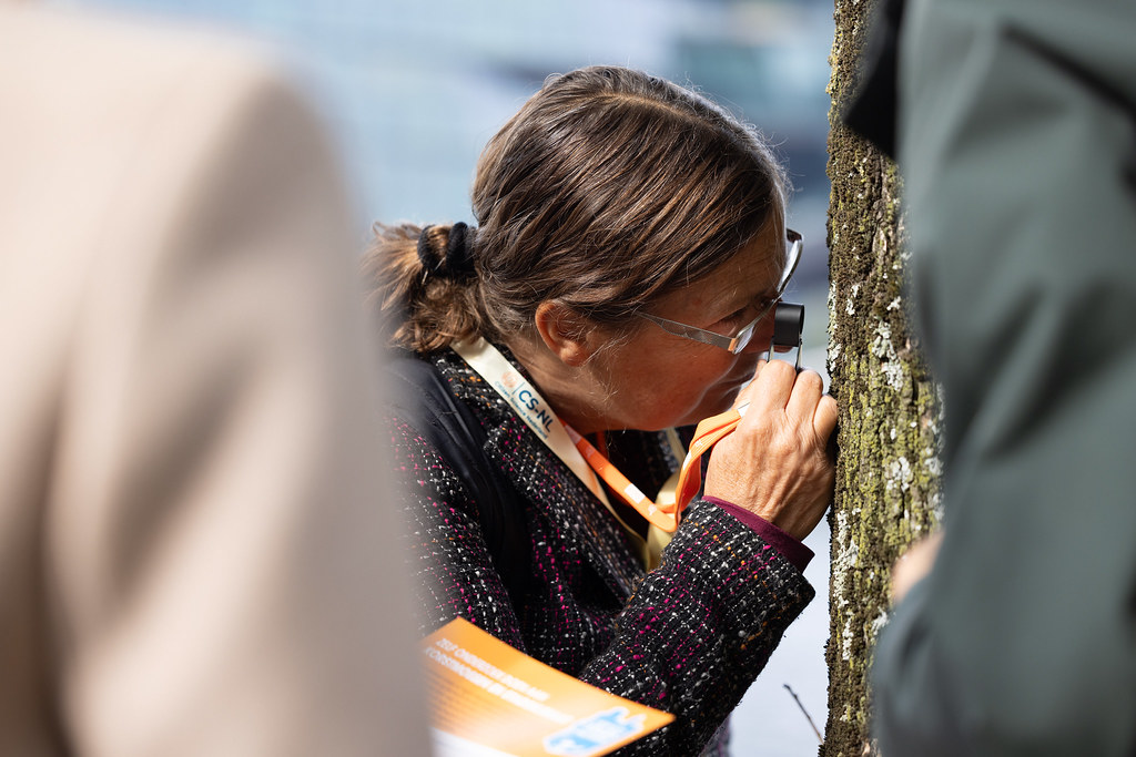 Vrouw neemt boom onder de loep.